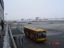 YEP THATS OUR BUS TO THE PLANE 043 * 448 x 336 * (18KB)